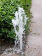 easily preventable sprinkler head blowout