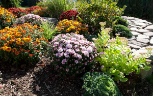 we do landscaping in Plano as well